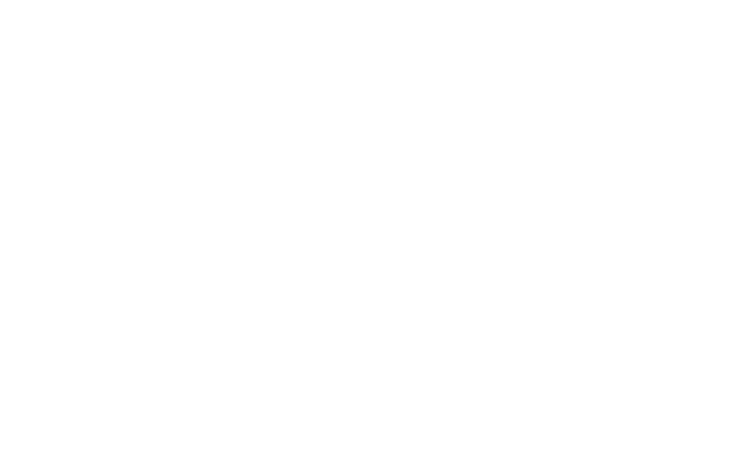 Ekow Flow Logo fallback