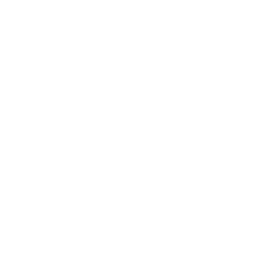Logo Domitys