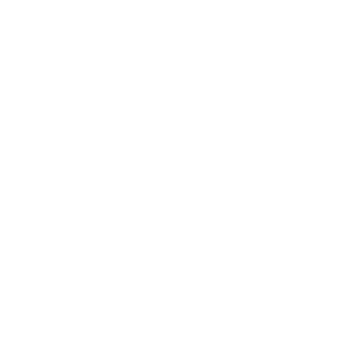 Logo Palace